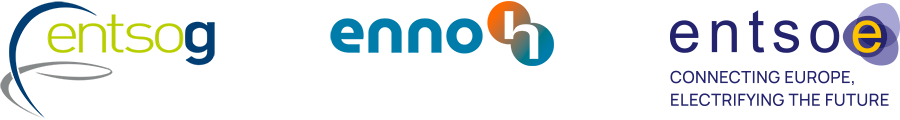 ENTSOG, ENNOH, ENTSO-E
